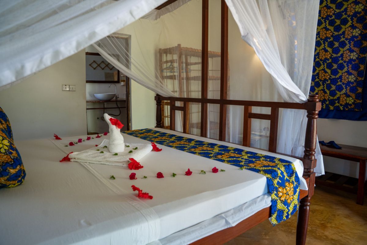 Camere appartamenti Zanzibar