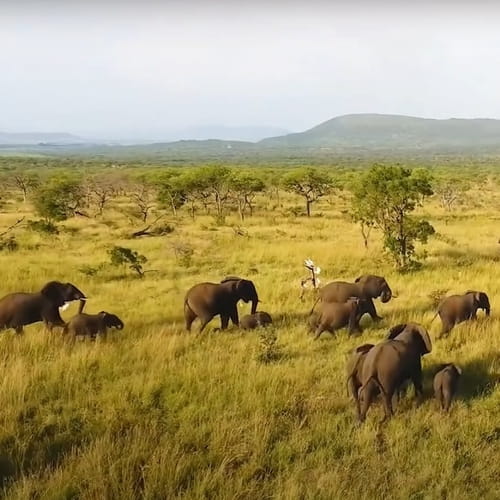 Affittacamere Zanzibar - Tanzania